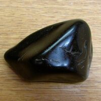 Russian Jet Polished Pebble Specimen