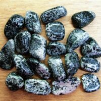 Orbiculite Polished Tumble Stones