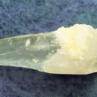 Tabby Lazer Masculine Quartz Point Specimen