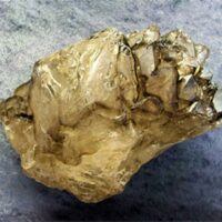 Smokey Quartz Elestial Cluster Specimen