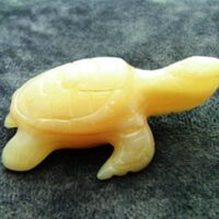 Turtle Carving in Mother Of Pearl