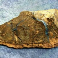 Australian Boulder Opal Rough Crystal Specimen