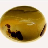 Monochrome Jasper Polished Pebble Specimen