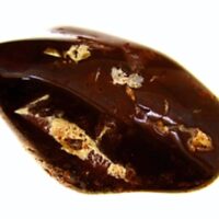 Apache Jasper Polished Pebble/Nodule Specimen