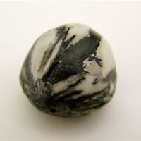 Chrysanthemum Stone Polished Pebble Specimen