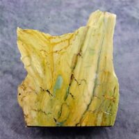 Thick Cut Bogwood Jasper Slice Specimen