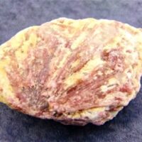 Rubellite in Matrix Rough Crystal Specimen