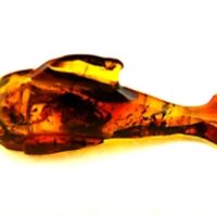 Dolphin Carving in Baltic Amber