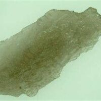 Smokey Elestial Quartz Specimen 155 x 70 x 15mm Aprox. 194g