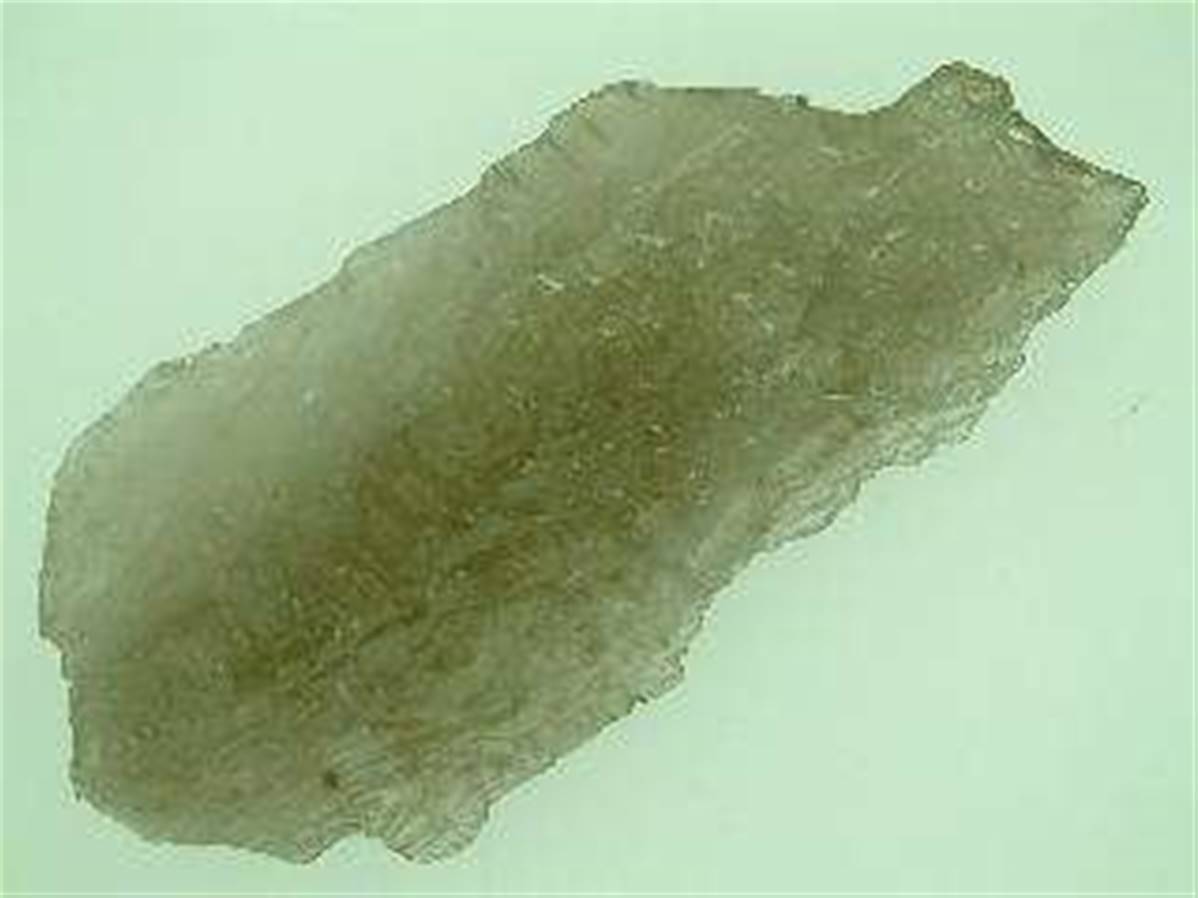 SP89x1200-1.jpg