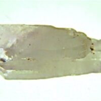 Vera Cruz Amethyst Point Specimen