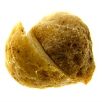 Polished Face Agate Nodule Pair