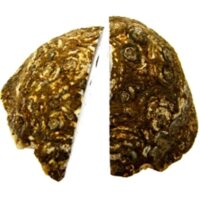 Polished Face Agate Nodule Pair