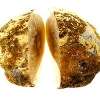 Polished Face Agate Nodule Pair