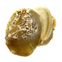 Polished Face Agate Nodule Pair