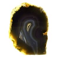 Agate Nodule Section with Polished Cut Face