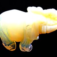 Elephant Carving in Opalite