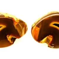 Agate Geode Pair with Polished Cut Faces