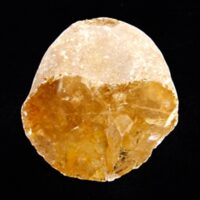 Shamen/Seer Stone Sliced Nodule Specimen