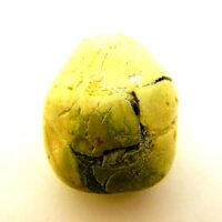 Australian Opal 'Thunder Egg' Specimen