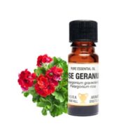 Pure Essential Oil-Rose Geranium. Pelargonium Graveolens/Pelargonium Rosa