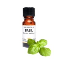 Pure Essential Oil-Basil. Ocimum Basillicum. 10Ml. 1/3 Fl Oz Us. 40g