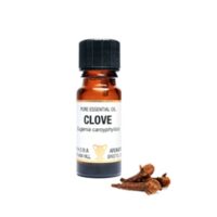 Pure Essential Oil-Clove