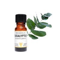 Pure Essential Oil-Eucalyptus
