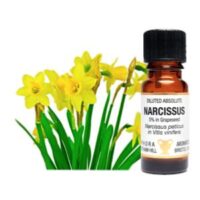 Diluted Absolute-Narcissus 5% in Grapeseed. Narcissus Peticus in Vitis Vinifera