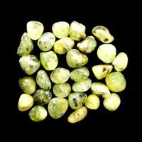 Epidot in Prehnite Polished Tumble Stones