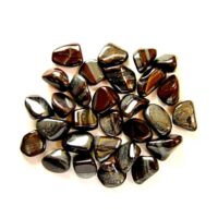 Ancestralite Polished Tumble Stones