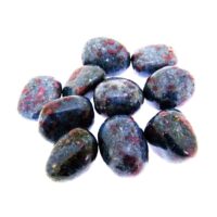 Ruby in Kyanite Polished Pebble Specimens