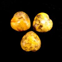 Crazy Lace Agate Mini Puff Hearts