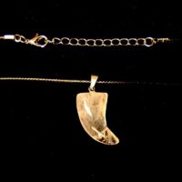 Tusk/Horn Shaped Pendant in Quartz on Waxed Cord