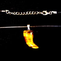 Tusk/Horn Shaped Pendant in Tigerseye on Waxed Cord