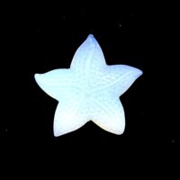 Starfish Carving in Opalite