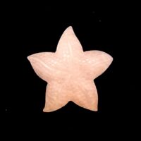 Starfish Carving in Rose Quartz