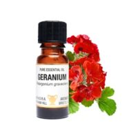 Pure Essential Oil-Geranium. Pelargonium Graveolens