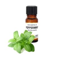 Pure Essential Oil-Peppermint. Mentha Piperita