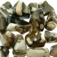 Peanut Wood Polished Tumble Stones