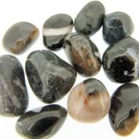 Black & White Zebra Jasper Tumbled Pebbles