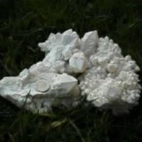 Candle Quartz Cluster