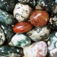 Hand Polished Orbicular Jasper Pebbles (Madagascar)